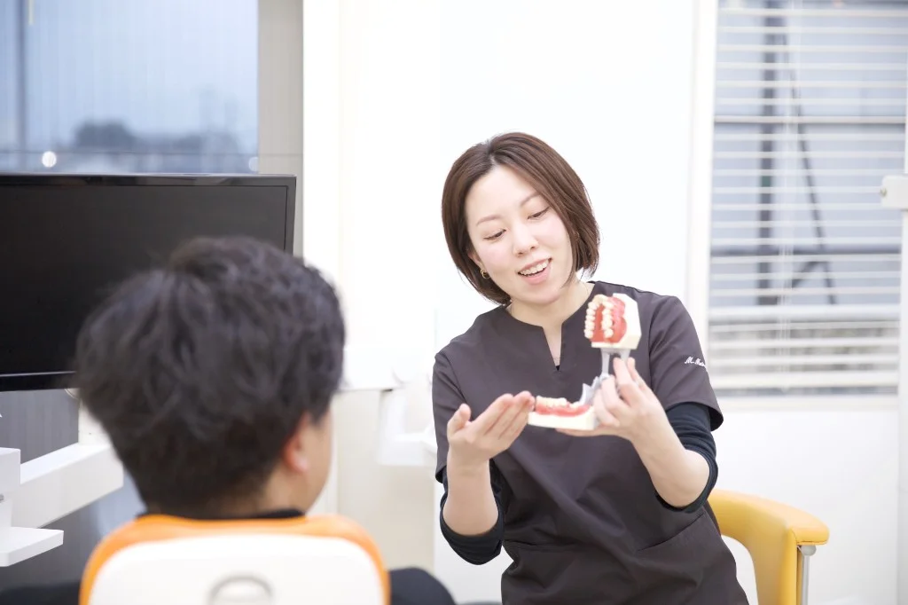 歯科模型を用いて患者へ説明する歯科衛生士